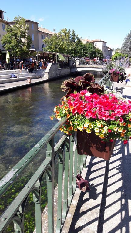 Appart Ensoleille Proche Remparts アヴィニョン エクステリア 写真
